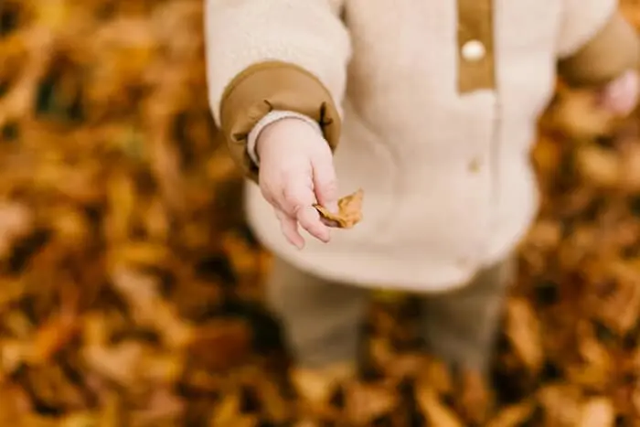 Embracing Autumn: Faith-Filled Ways to Enjoy the Season of Change
